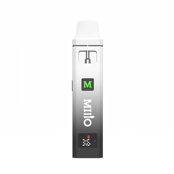 Premium 2ml Cannabis Oil Disposable Vape Empty For Wholesale, 2G Device With Display Screen